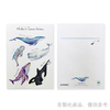 明信片-客製化海洋動物明信片-1